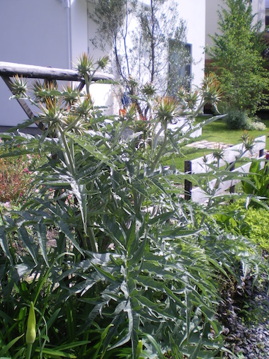 f0206605_21342526.jpg