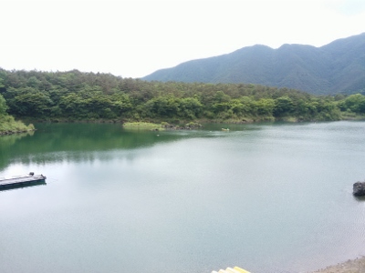 b0040606_204777.jpg