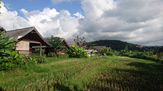 Sanak Retreat Bali でお食事休憩 @ Desa Kayuputih, Buleleng (\'16年4月)_f0319208_2255135.jpg