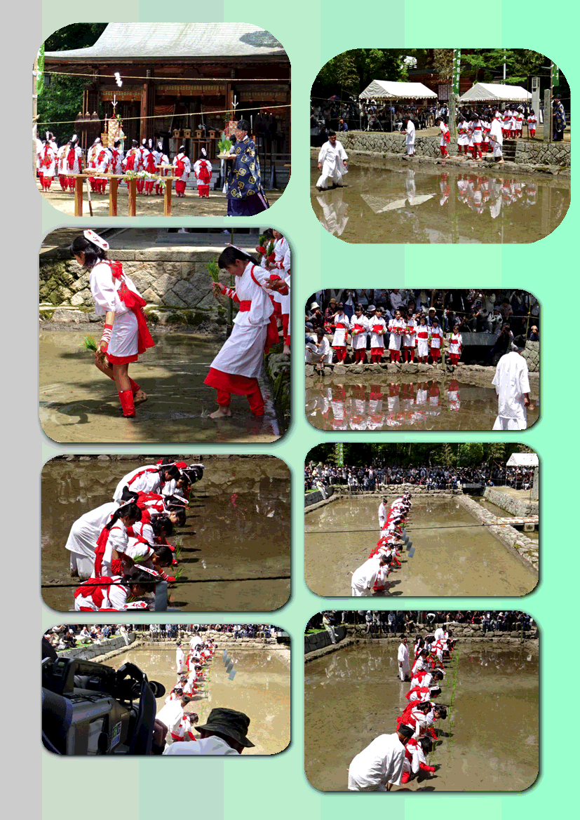 f0231709_23163551.gif