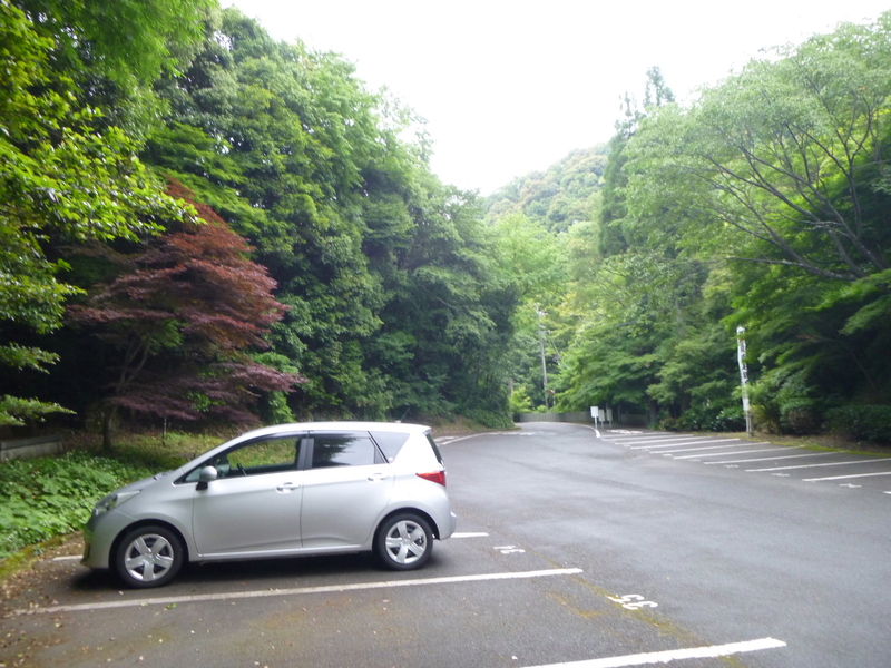 d0170615_8425937.jpg