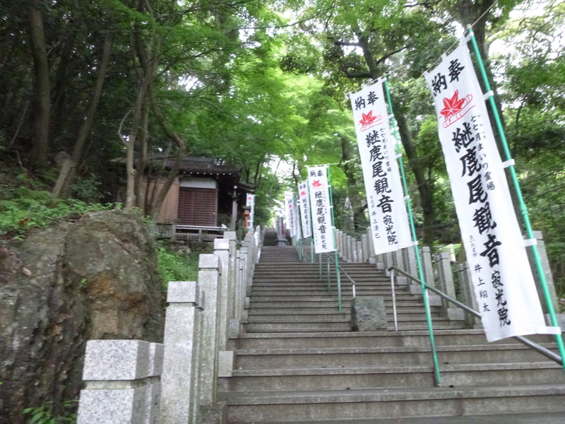 d0170615_8433476.jpg