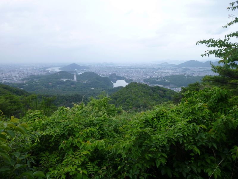 d0170615_845540.jpg