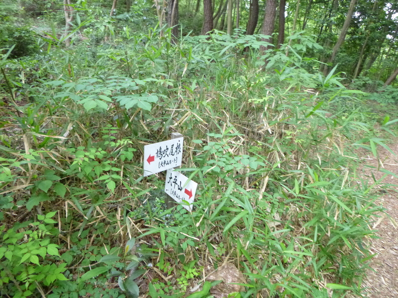 d0170615_846618.jpg