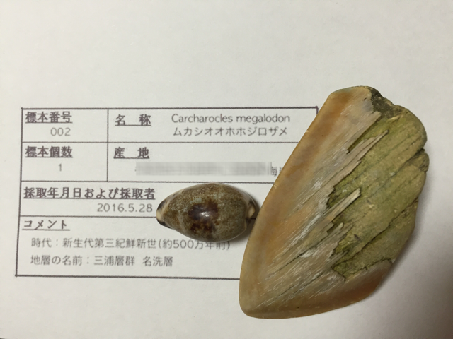 c0120316_0162528.png
