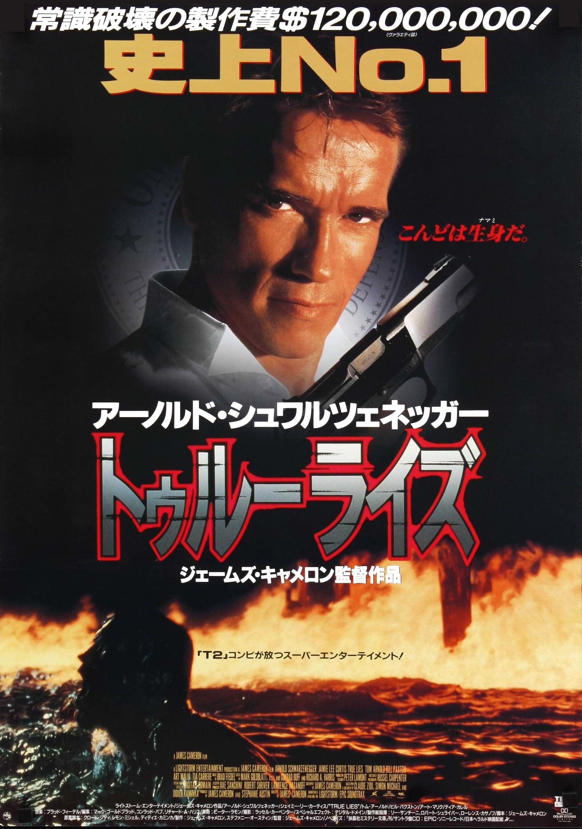 トゥルーライズ 原題 True Lies Piece Of Life Blog 日常の欠片ブログ版 トゥルーライズ 原題 True Lies Piece Of Life Blog 日常の欠片ブログ版