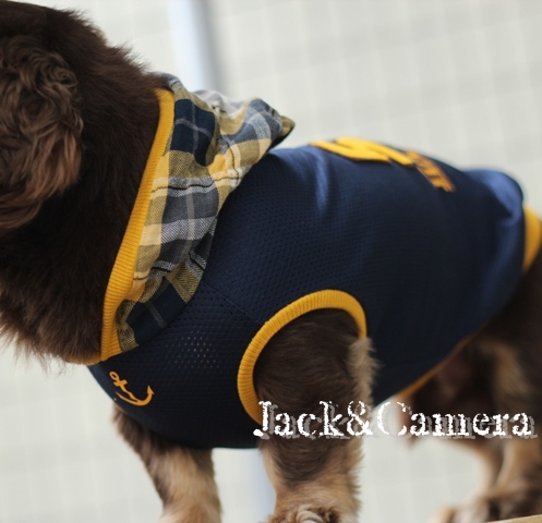 犬服タンクトップS 捻る