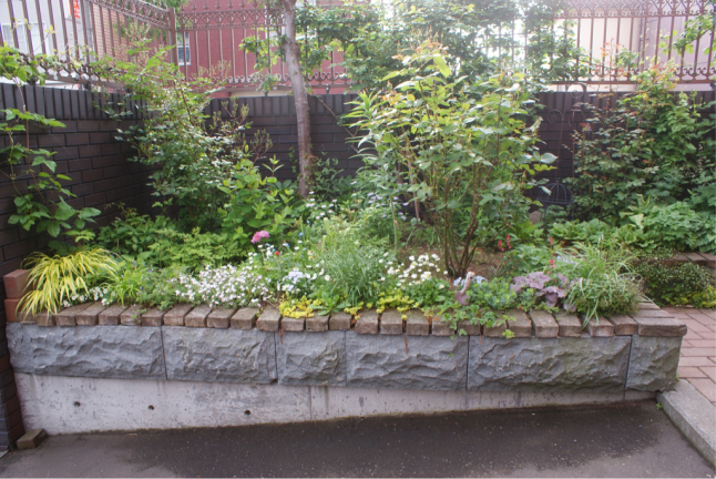 f0170524_07212702.jpg
