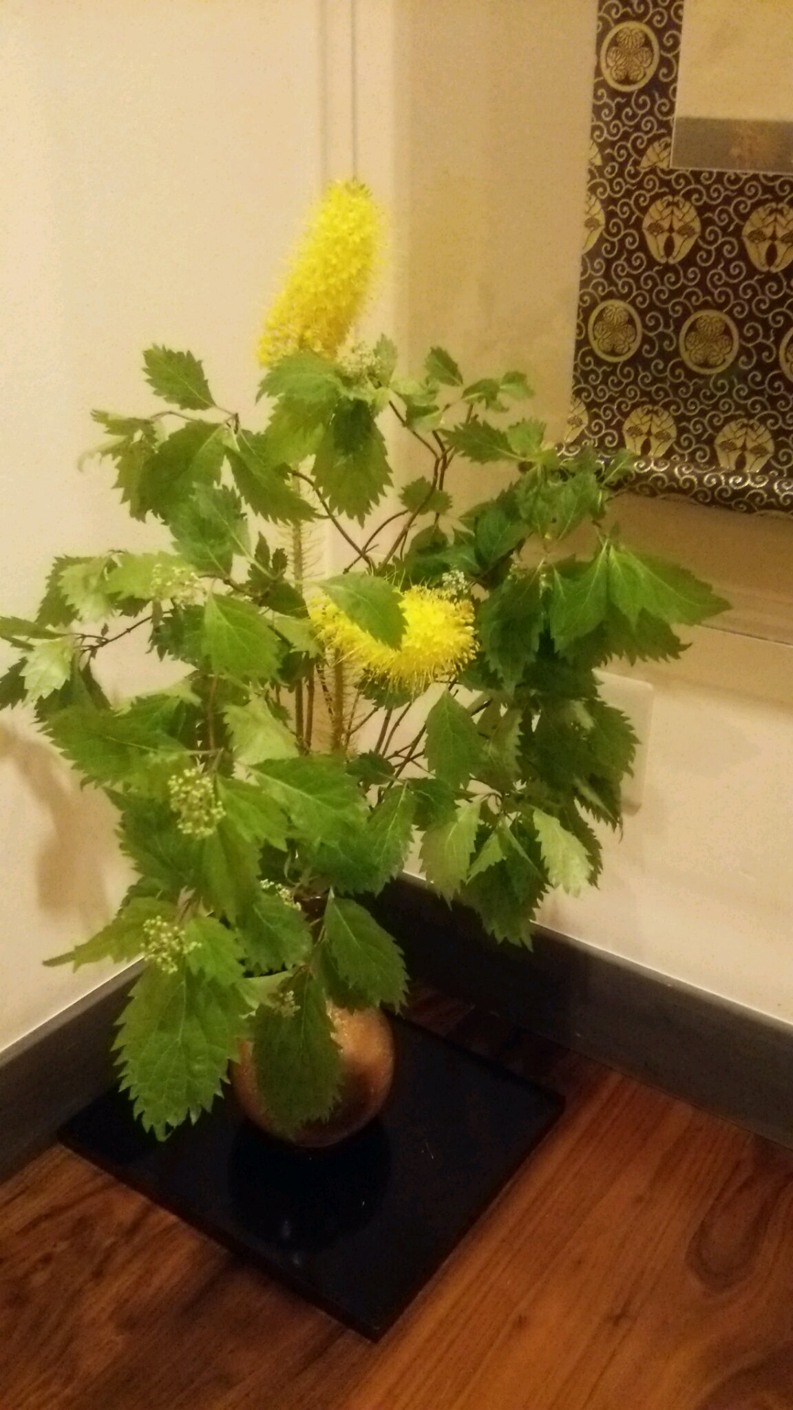 山の花を生ける!_c0213830_14175554.jpg