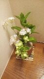 山の花を生ける！_c0213830_14182839.jpg
