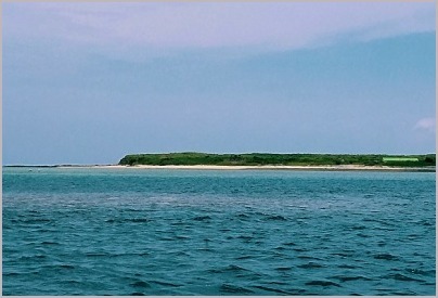 d0017632_23034435.jpeg