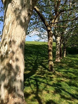 c0234938_17290168.jpg
