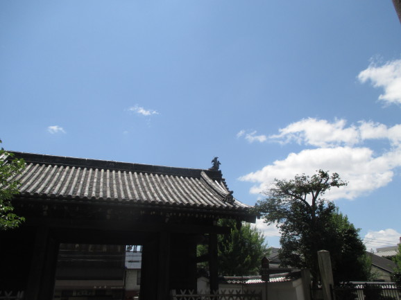 神社で涼む。_a0307846_11043492.jpg