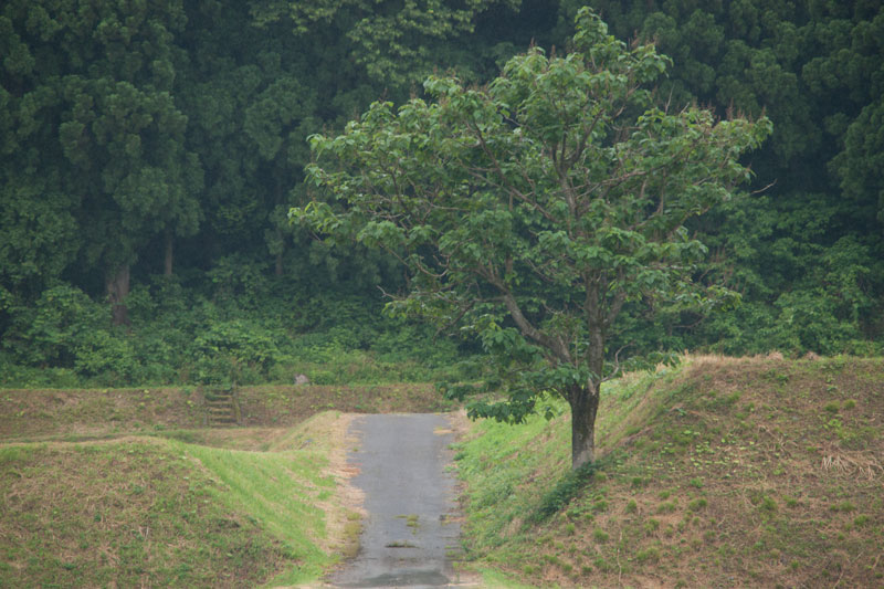 d0342652_1574010.jpg