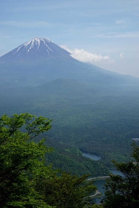 山梨百名山＠三方分山 2016.05.19(木)_f0344554_10311553.jpg