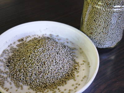 無農薬・無化学肥料で育てる「菊池水源産エゴマ」 平成28年度の生産スタート_a0254656_17184557.jpg