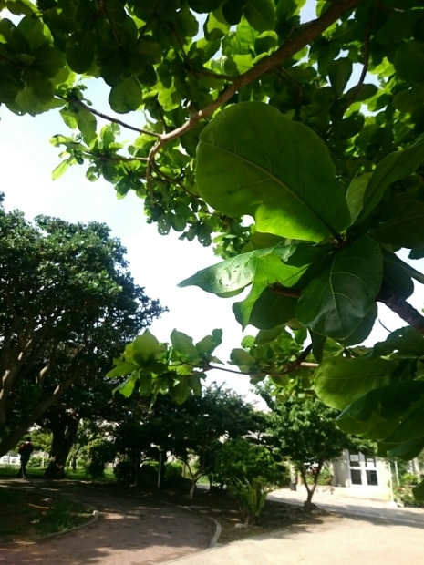 d0337560_10114987.jpg