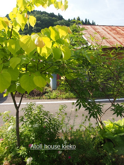 a0139570_2055347.jpg