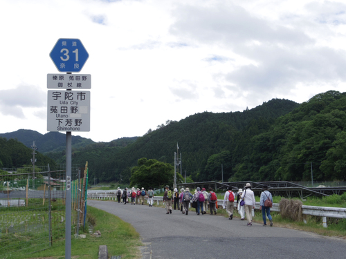 下芳野の妙香寺_c0051781_2354363.jpg