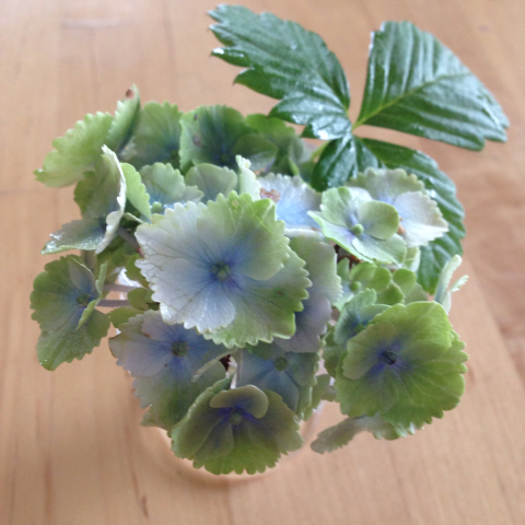 真実_d0233891_08212024.jpg