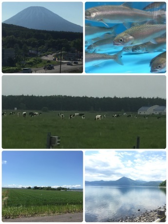 北海道ー‼️_c0199092_23393282.jpeg