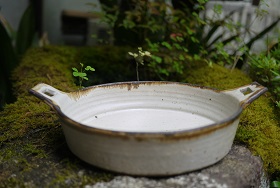 ①藤原 純(ふじわらじゅん)さんの器が届きました! : 器と ①藤原 純(ふじわらじゅん)さんの器が届きました! : 器と