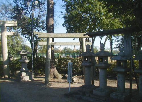 ●神社の造形―素盞嗚尊神社_d0053294_18145043.jpg