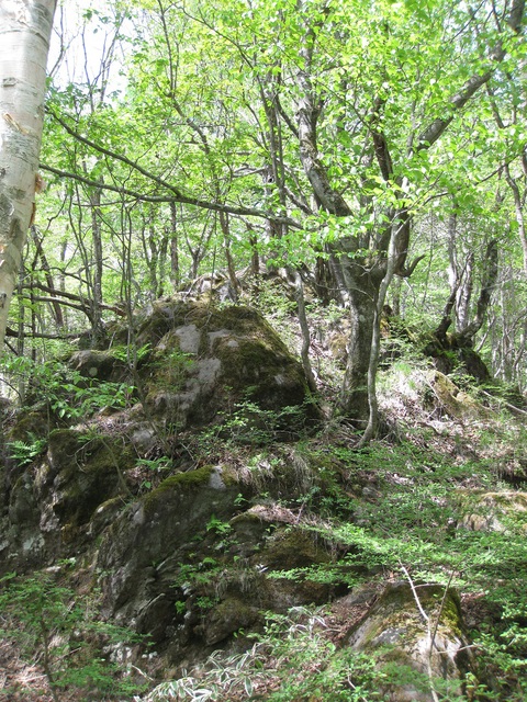 静かなる美鈴池　初夏の八ヶ岳高原の旅④_f0281398_9442686.jpg