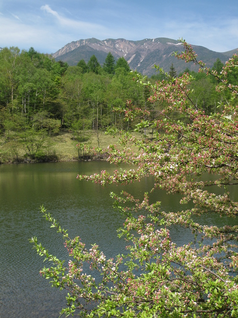 静かなる美鈴池　初夏の八ヶ岳高原の旅④_f0281398_9503296.jpg