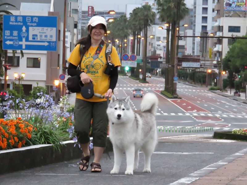 雨あがる (*^_^*)_c0049299_21314497.jpg