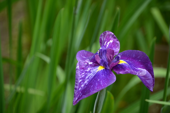 a0288500_201118.jpg