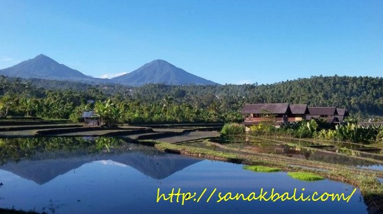 Sanak Retreat Bali でお食事休憩 @ Desa Kayuputih, Buleleng (\'16年4月)_f0319208_0412297.jpg