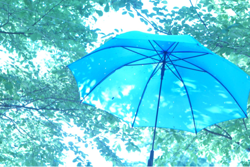 晴れの日も美しい傘のアーケード アンブレラスカイ ハルニレテラス きれいの瞬間 写真で伝えるstory
