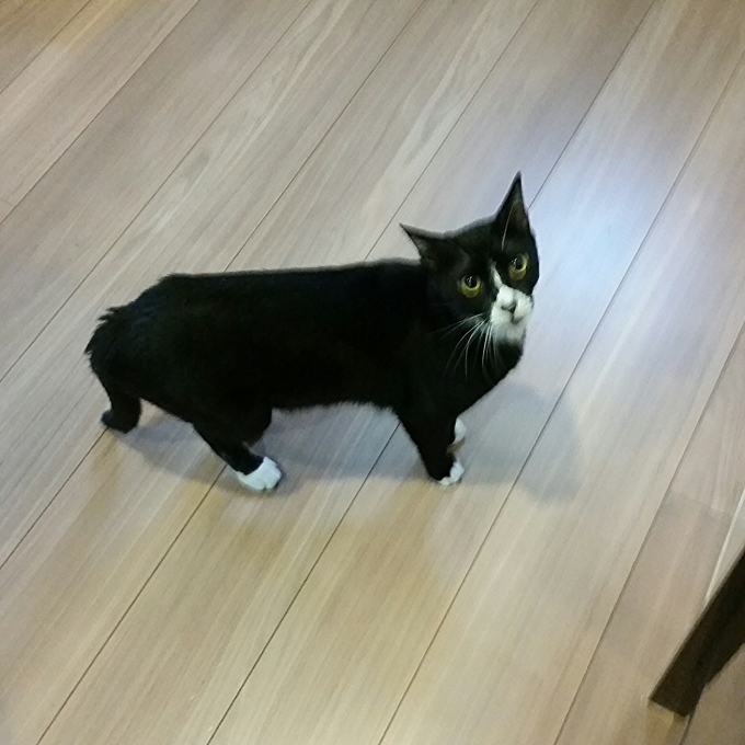 e0144012_01185798.jpeg