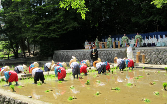 田植祭　伏見稲荷大社_e0048413_21505536.jpg