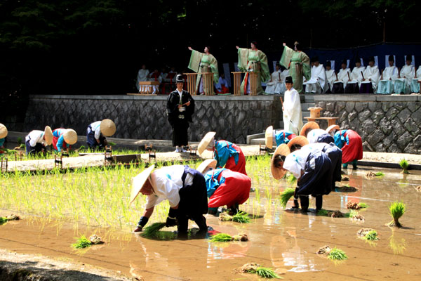 田植祭　伏見稲荷大社_e0048413_21513597.jpg