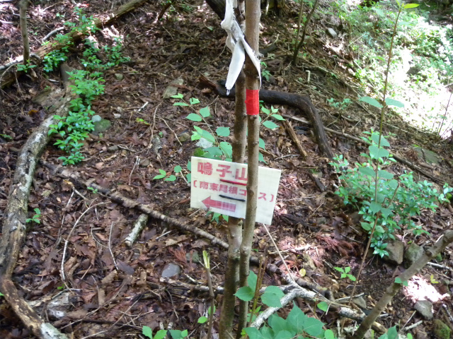 e0272335_21188.jpg