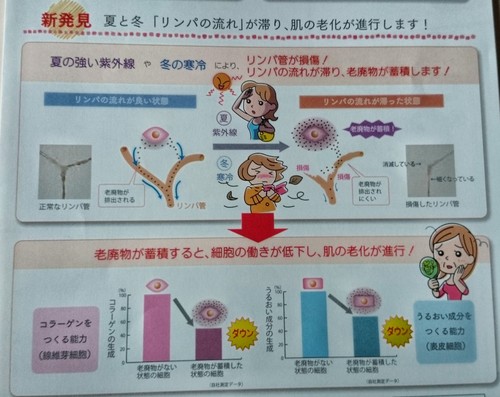 年２回の極上お手入れ「プログラム３０」 : メナード☆えびな駅前＆東 ...