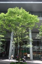 グッドパートナー 無敵の弁護士「今夜決着!!3億を巡る法廷対決」_e0080345_740497.jpg