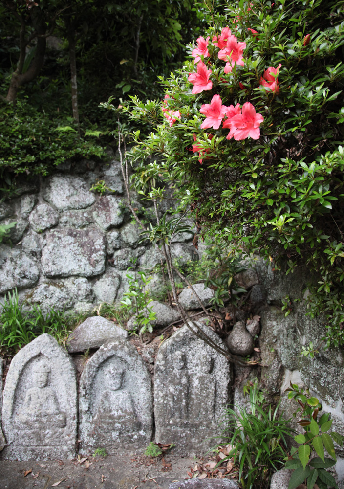 御所市　九品寺　さつき　石仏_c0108146_21463532.jpg