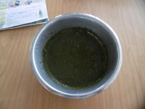 ヘナで髪を染めてみる（1）_c0326859_06330837.jpg