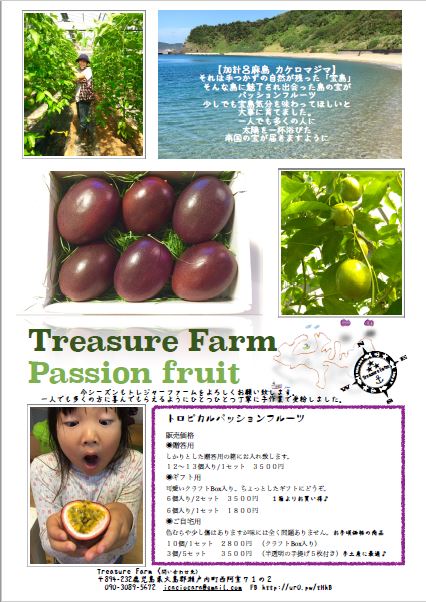 もう一軒、加計呂麻島在住のパッション農家さんをご紹介します!_e0028387_921713.jpg