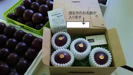 もう一軒、加計呂麻島在住のパッション農家さんをご紹介します!_e0028387_954215.jpg