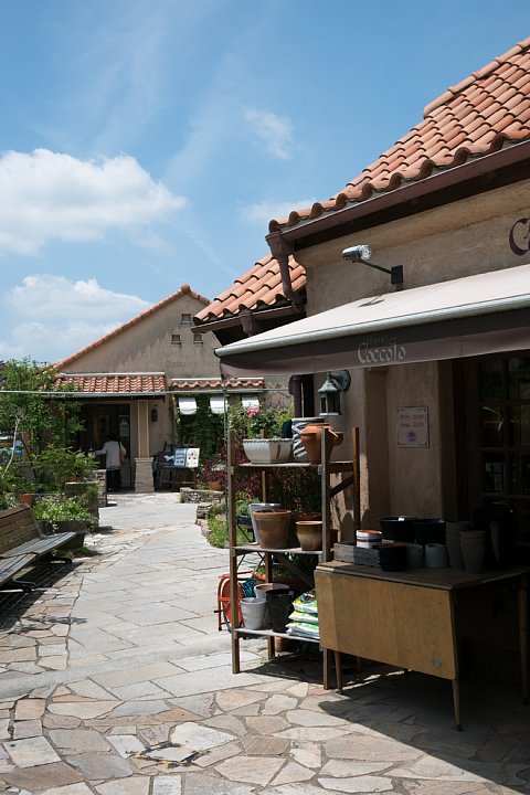 皐月から水無月へ移ろいゆく花屋さん_d0353489_15272390.jpg