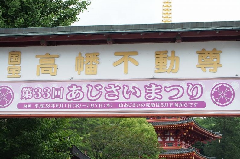 ミニ撮影会_e0348392_09550927.jpg