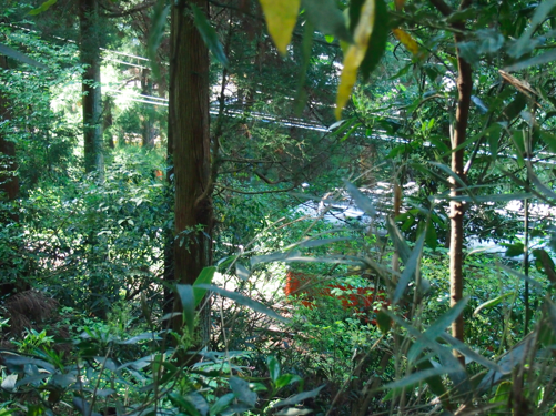 a0146493_2333969.png