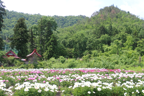 c0075701_6531891.jpg