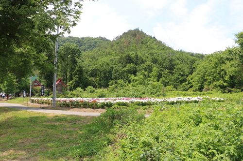 c0075701_6532322.jpg