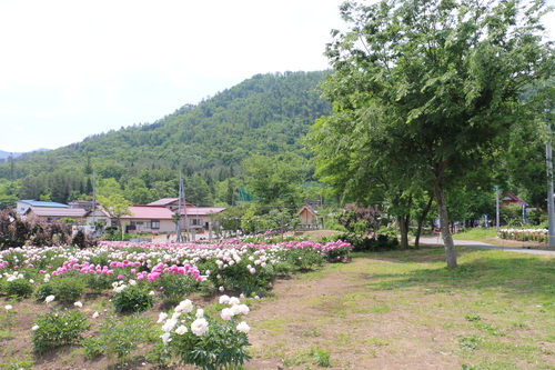 c0075701_6532848.jpg