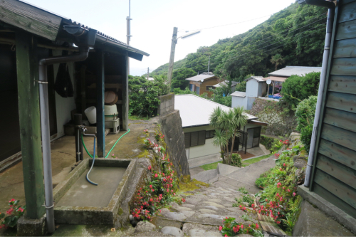 海界の村を歩く 太平洋 御蔵島(東京都)_d0147406_10445553.jpg
